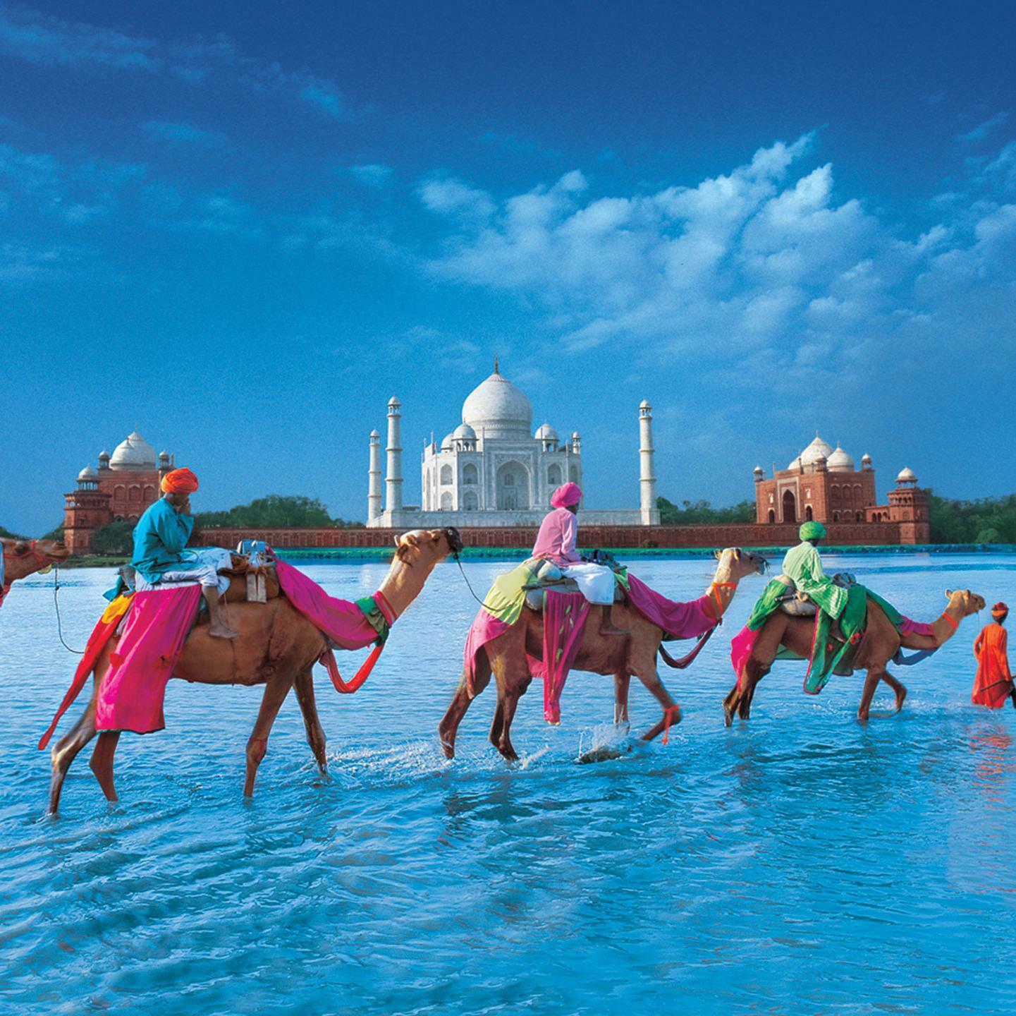 How chefs find eating places when they journey