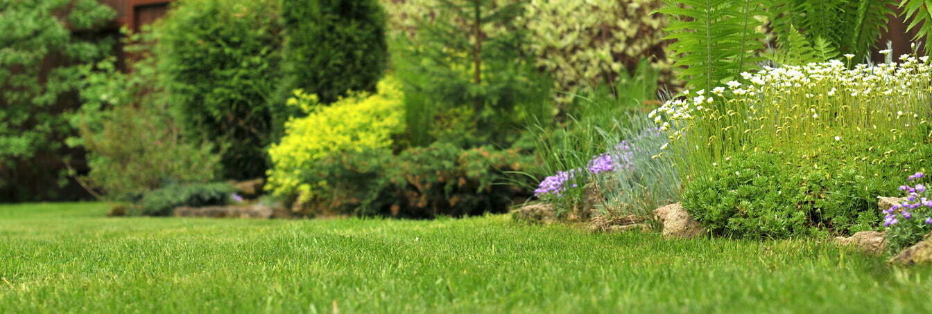 Forest schools: is yours greater a advertising and marketing gimmick than an outdoors education?
