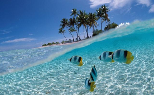 Puja vacations beckon