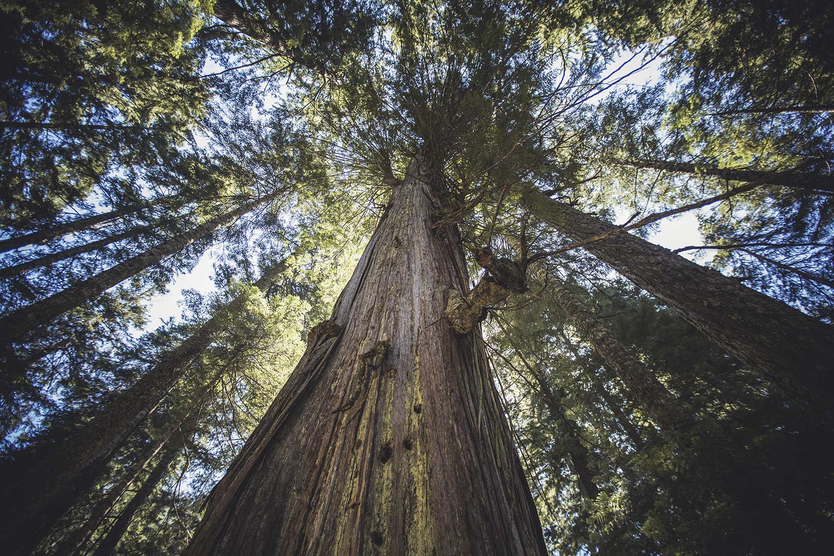 Ascent Outdoors is coming round again