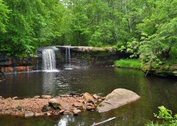 Find the Most Beautiful Walking Trails in Minnesota