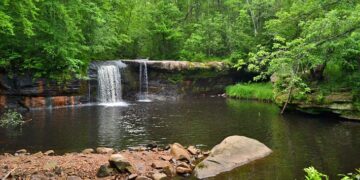 Find the Most Beautiful Walking Trails in Minnesota