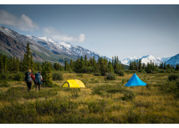 How to Choose the Best Camping Tent for the Money