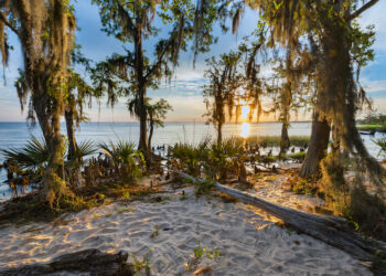 Louisiana Beaches – How to Find Out the Current Value of a Home