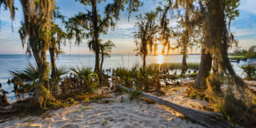 Louisiana Beaches – How to Find Out the Current Value of a Home