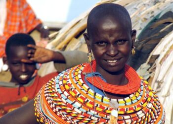 Kenyan seed-ball technique reveals domestic in C’garh
