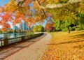 Vancouver in November: A Guide to Fall Fun