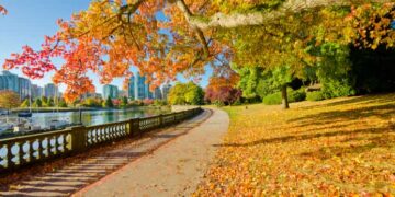 Vancouver in November: A Guide to Fall Fun