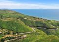 Discover the Beauty of Latigo Canyon Road
