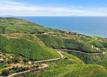 Discover the Beauty of Latigo Canyon Road